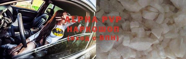 стафф Арсеньев