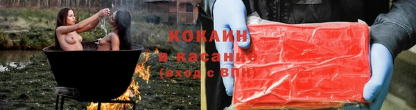 стафф Арсеньев