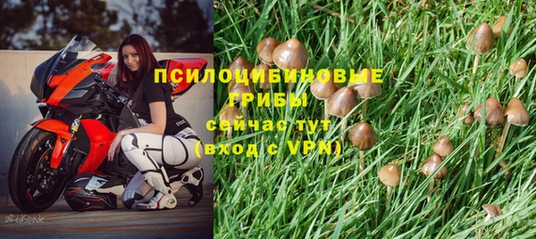 спайс Армянск