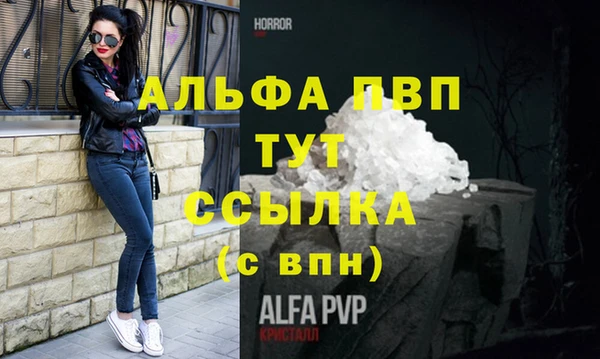 стафф Арсеньев