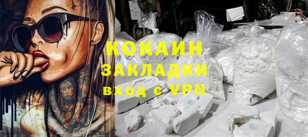 стафф Арсеньев