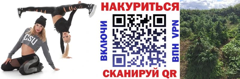 Каннабис план  купить   Армянск 